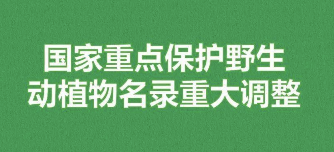 重磅！新版國(guó)家重點(diǎn)保護(hù)野生植物名錄公布，58種/屬列入一級(jí)保護(hù)，值得收藏