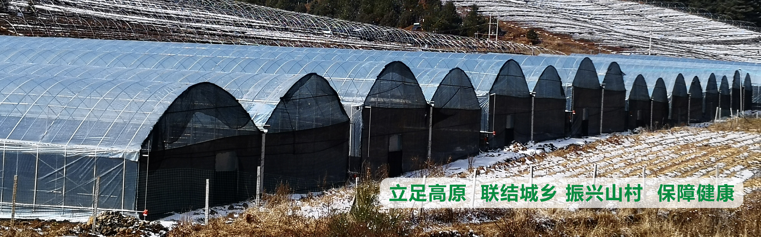 立足高原、聯(lián)結(jié)城鄉(xiāng)、振興山村、保障健康
